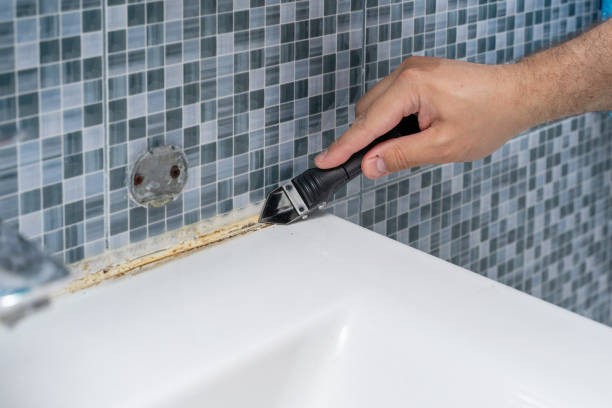 Best Residential Mold Removal  in Morenci, AZ