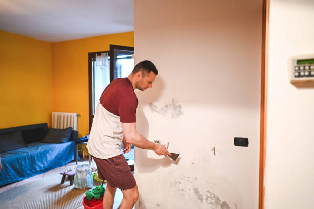 Best Mold Remediation Services  in Morenci, AZ